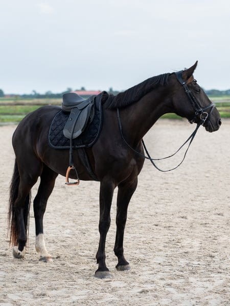 1030_abc03a27e9-1110-091-990-saddle-pad-heart-jump-990-black-6357-1-1500x2000.jpg