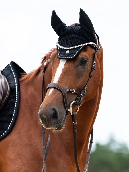 1215_a92a273e18-1110-106-990-saddle-pad-velvet-monogram-jump-990-black-dsc-8874-1500x2000-1.webp