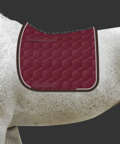 Zrzut ekranu 2024-11-09 102058.png