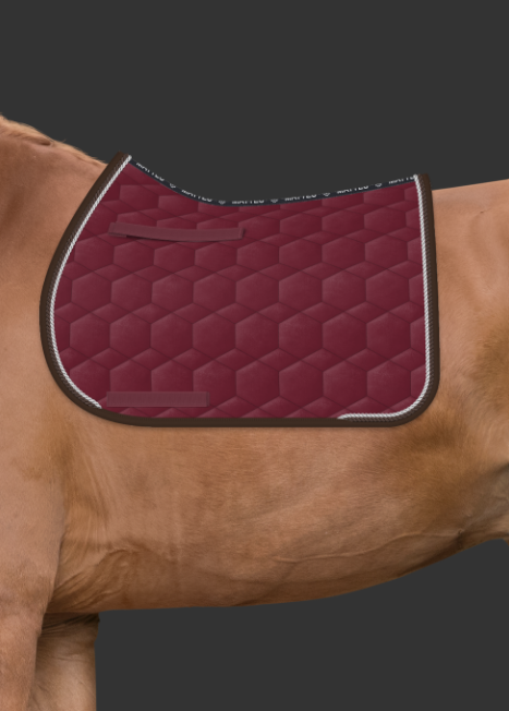 Zrzut ekranu 2024-11-09 102643.png