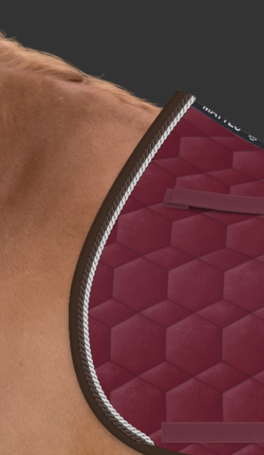 Zrzut ekranu 2024-11-09 103309.png