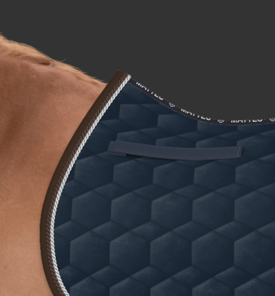 Zrzut ekranu 2024-11-09 104009.png