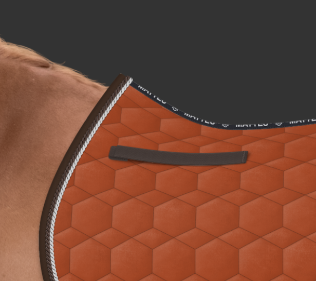 Zrzut ekranu 2024-11-09 105928.png