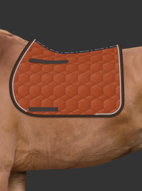 Zrzut ekranu 2024-11-09 105948.png