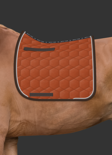 Zrzut ekranu 2024-11-09 110006.png