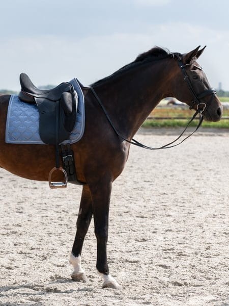 1031_3ca95ae143-1110-092-541-saddle-pad-heart-dressage-541-mist-blue-5918-1500x2000-1.jpg