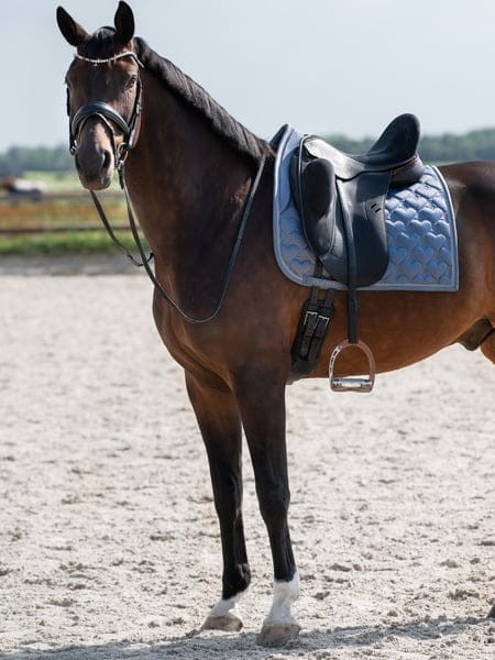 1031_41404a7a32-1110-092-541-saddle-pad-heart-dressage-541-mist-blue-5929-1500x2000-1.jpg
