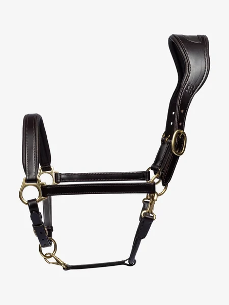 839_458fd7def4-leather-halter-brown-9998-1500x2000.webp