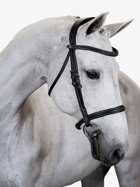 305_160db98777-ocala_black_dsc_4006 (1).jpg