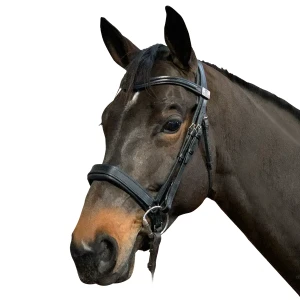 Ogłowie Fairfax z wąskim nachrapnikiem "Snaffle Bridle with Narrow Cavesson Noseband"