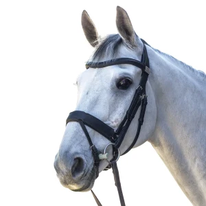 Ogłowie Fairfax ze skosnikiem "Snaffle Bridle with Flash Noseband" 