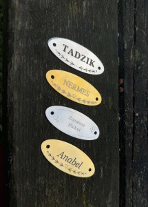 Tabliczka do siodła 