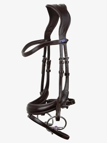 968_f2bc022f79-251_9f372399d5-bridle-paladin-1500x2000-original.webp